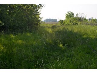 Property photo 90 - LAND AUCTION - 215+/- ACRES OFFERED IN 6 TRACTS IN VAN WERT COUNTY, OHIO
